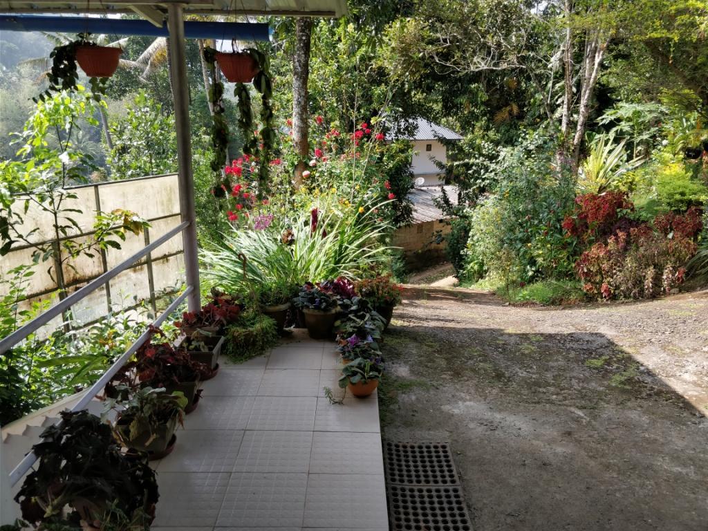 River View Inn Munnar Exteriör bild