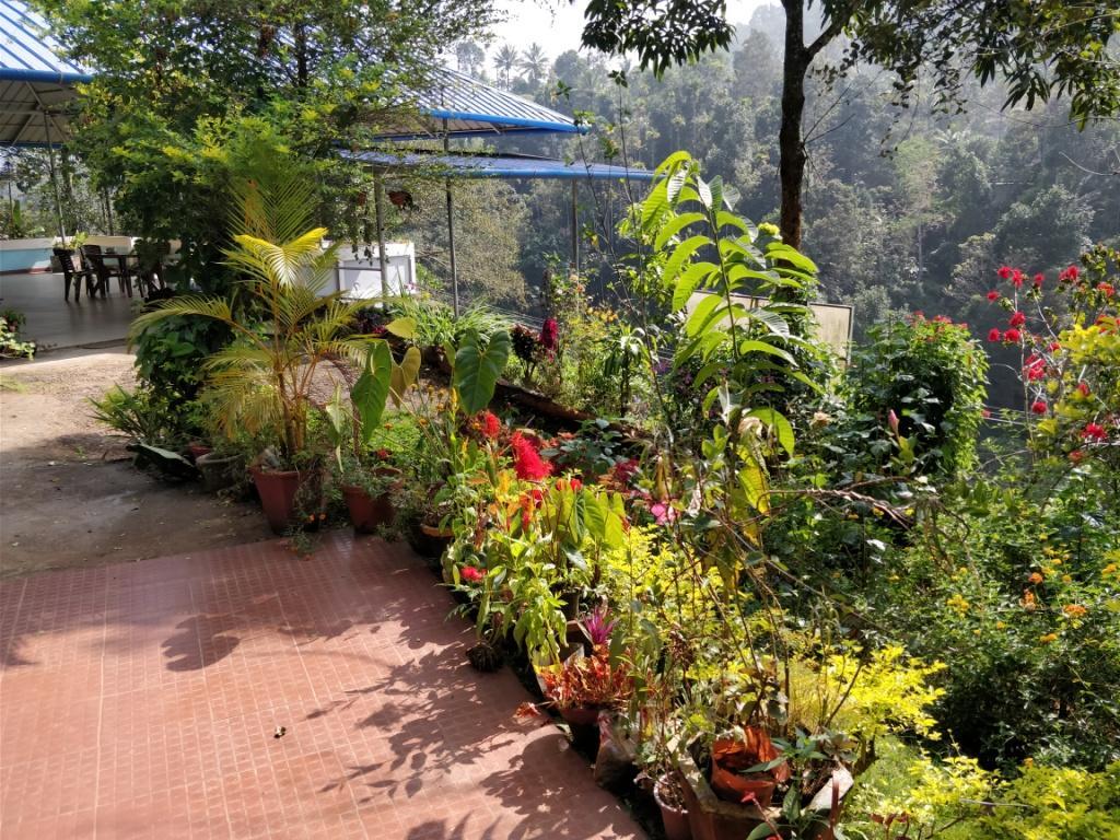 River View Inn Munnar Exteriör bild