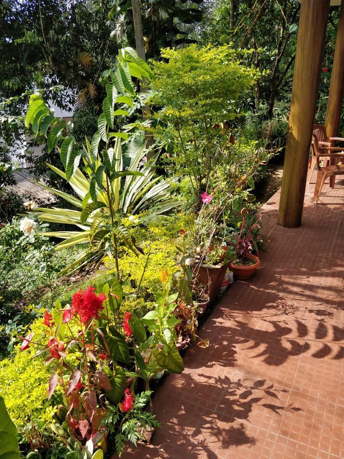River View Inn Munnar Exteriör bild